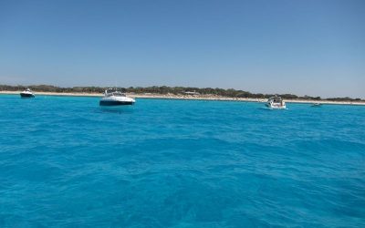 Fin de temporada de alquiler veleros Ibiza